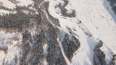 4K冬日阳光松树和白雪雪山景区视频的预览图